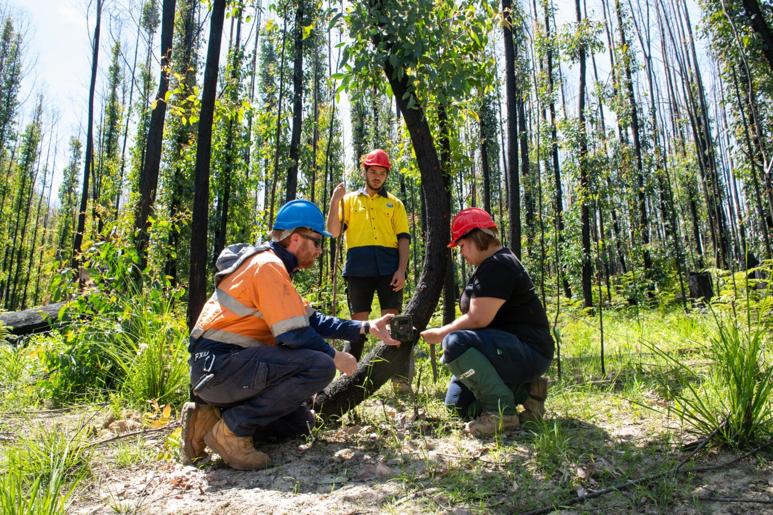 our-country-gunaikurnai-land-and-waters-aboriginal-corporation