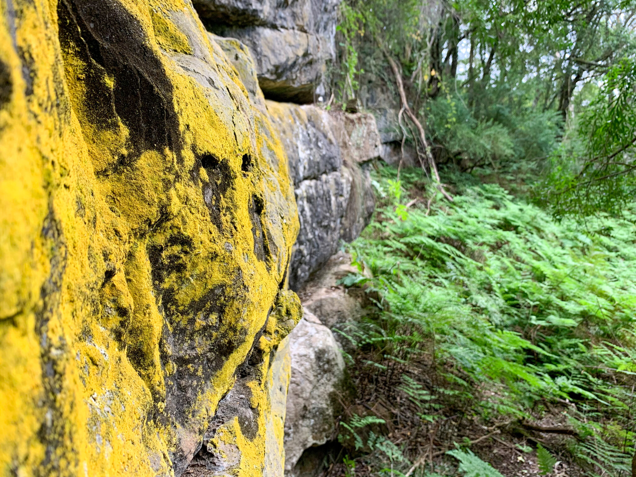 New Guinea Caves Gunaikurnai Land and Waters Aboriginal Corporation