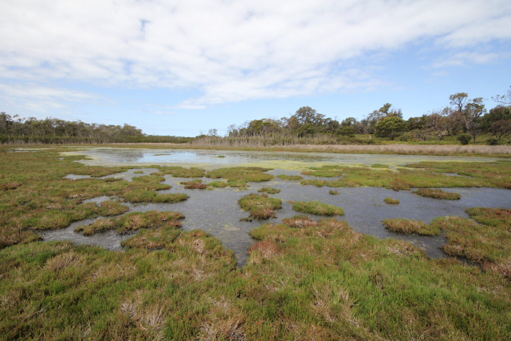 Corringle Foreshore Reserve