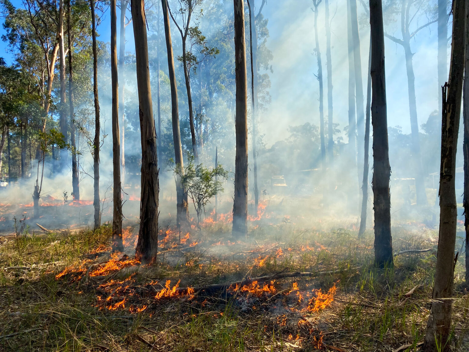 Cultural Fire | Gunaikurnai Land and Waters Aboriginal Corporation