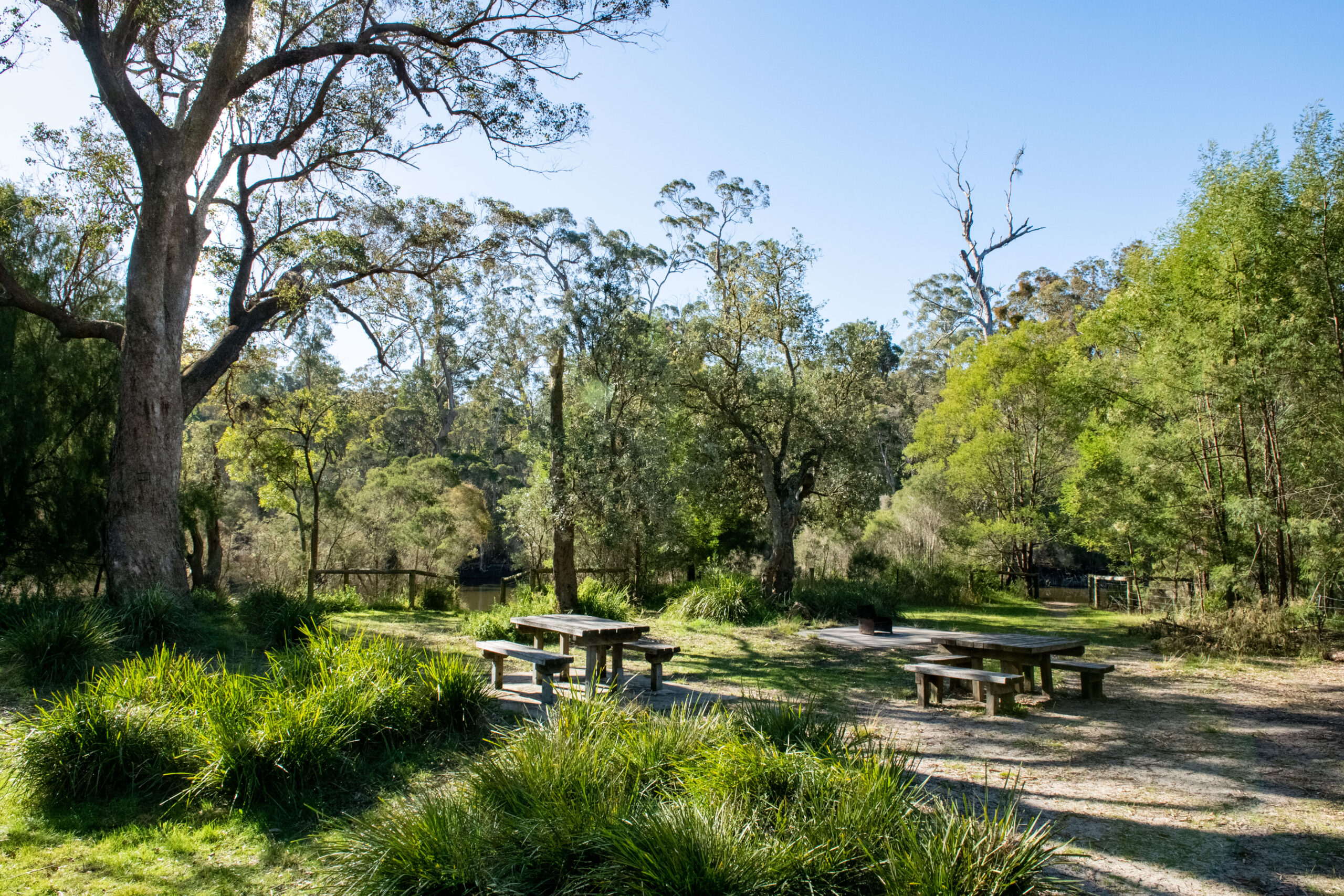 Lake Tyers State Park Gunaikurnai Land and Waters Aboriginal Corporation