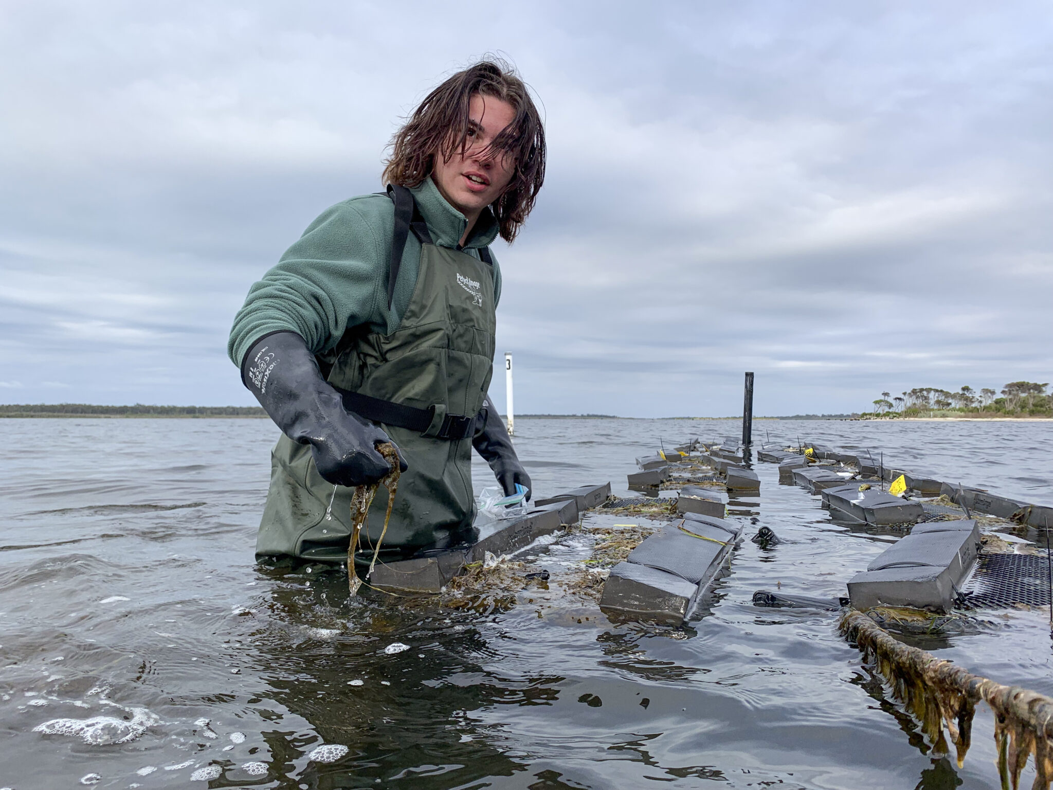 oyster-trials-gunaikurnai-land-and-waters-aboriginal-corporation