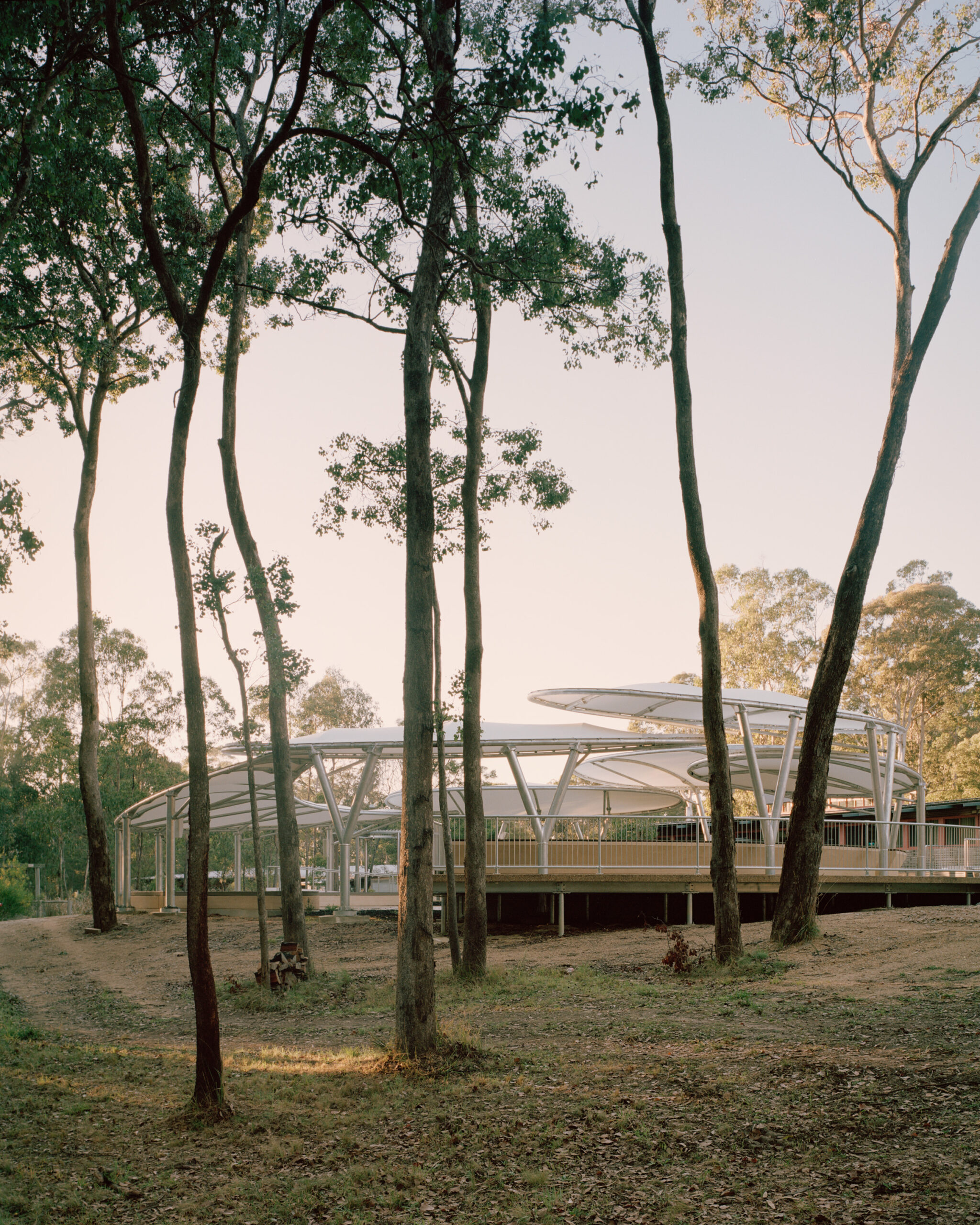 Shot of the Wagun Amphitheatre from the bush